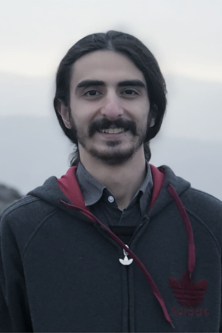 عضو تیم