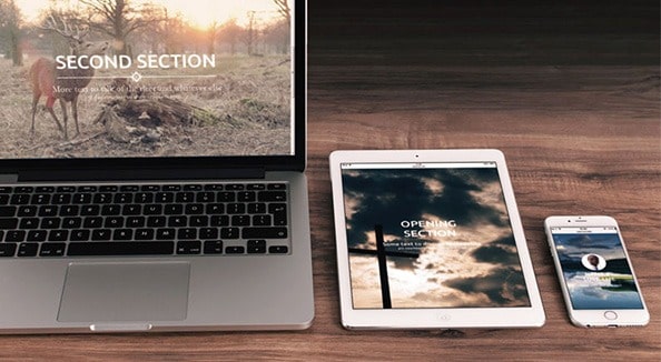 تصویری از طراحی وب سایت برای محیط زیست